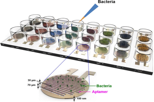 New method for rapid identification of bacteria promises to improve treatment of infections
