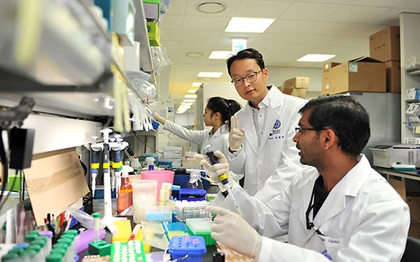 Leading the Way in Genetic Science: Interview with STAR researcher Hyung-bum Kim 