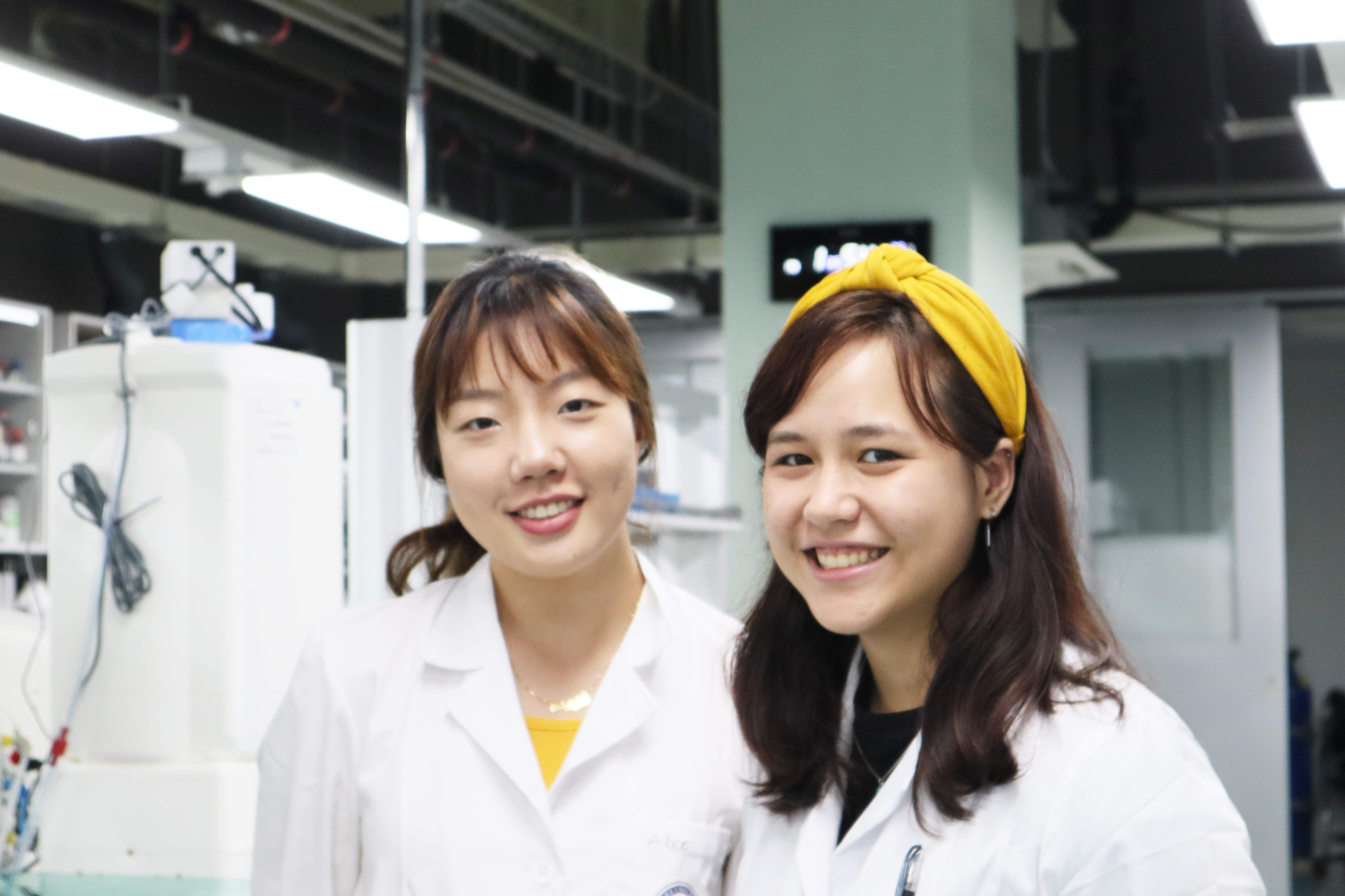 Research Internship + Experiencing Korea = Perfect Summer in Seoul at Yonsei