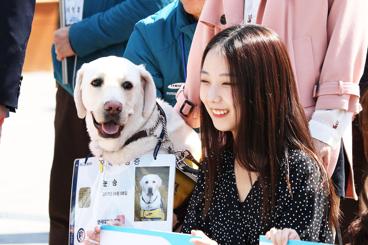 Yonsei's First Student Dog