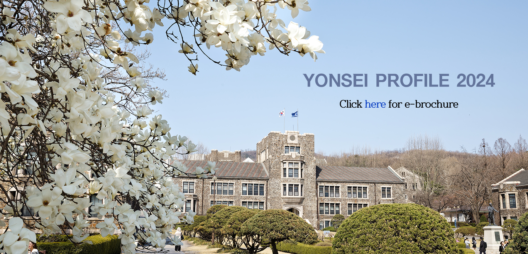 yonsei university e-brochure